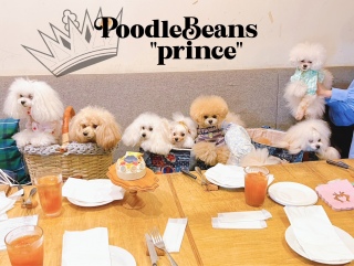 princeたちーそれぞれがママを見ていますよー