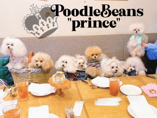princezg