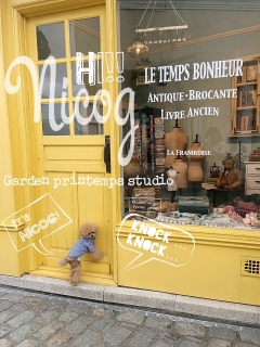 SHOP̒ʂŝˁ[