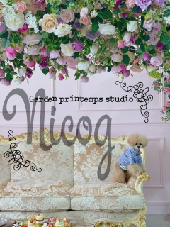 X^WIł̃jRW܂