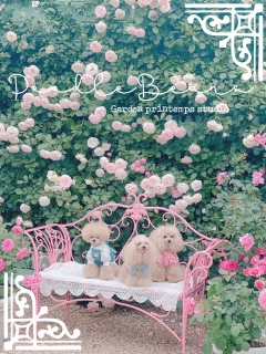 B͍̂ڂĂȂ̂ŏBIˁI