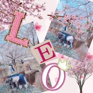 I܂ˁI