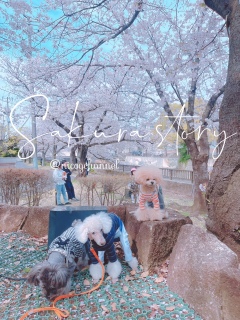 撣Ďʐ^Ɏ܂ĂĂ肪Ƃ