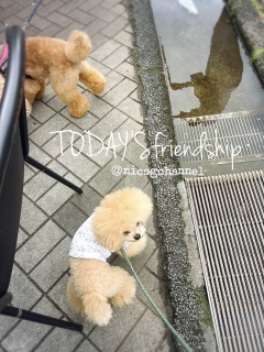 TODAY'Sfriendship