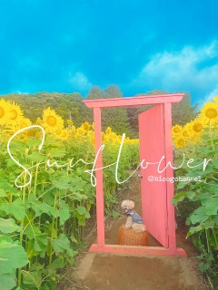 ܂ʂł邯ǂˁ[