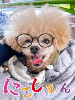 ŃjRW񂨔lI