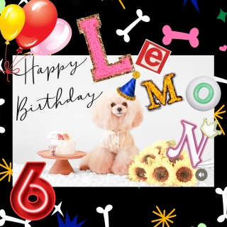 happybirthday!