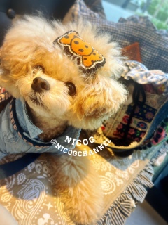 䂫ɒnEBob^