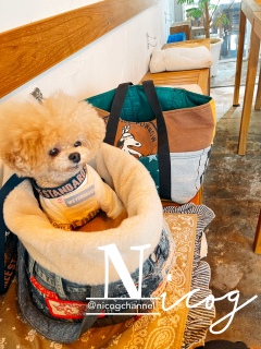 Sn_cafe