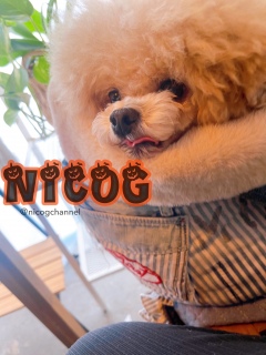 ܂肭