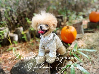 �y���y����