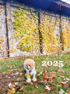 ȂȂTNTNo܂񂪂܂܂I