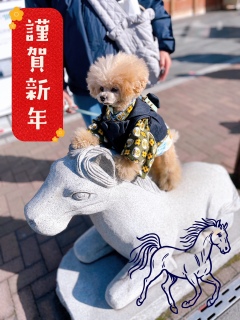 ���ɍ�����3���ˁH