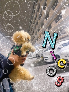 ���Ԃ��[�������H