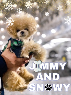 �葫�k���܂����Ⴄ��ˁH