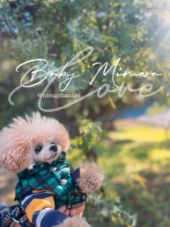 �����L���L��