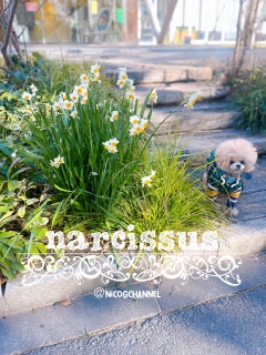 ���傠�����񂾂����ˁH