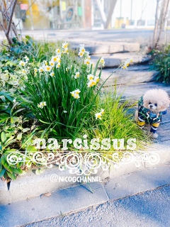 �p�p���Ă�́c