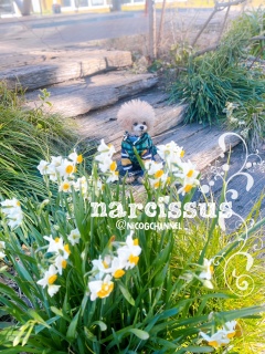 �Ȃ�Ă��ƂȂ��ꏊ�����ǁc