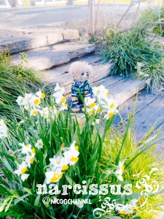 �p�p�m�F��