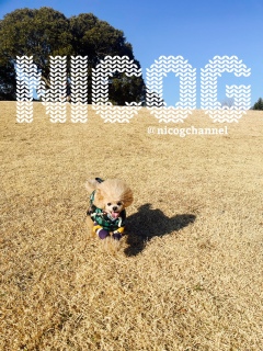 �����Ł[�I