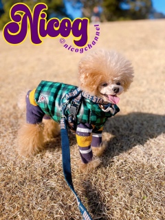 �������������E��������