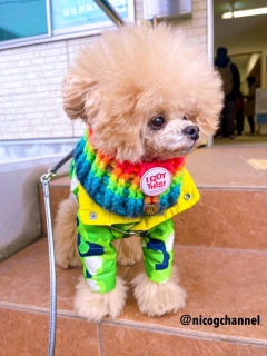 �Ƃɂ��邾���ł������̓{�T�{�T�ɂȂ��ˁH