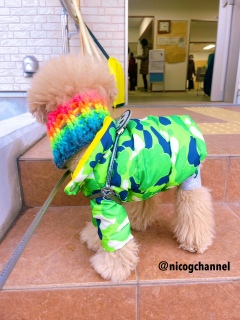 ���܂ł���_�E��