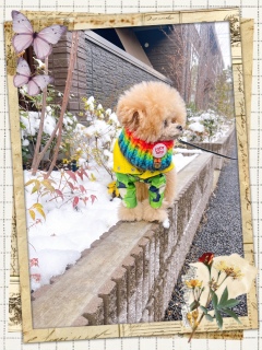 ���@���c��