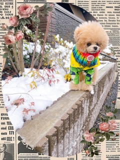 ����ȏꏊ�ɂ͐�͂��������Ǔ��ɂ͂Ȃ���[