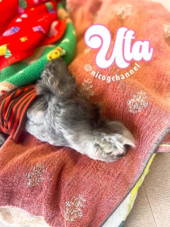 ��������̃L���N