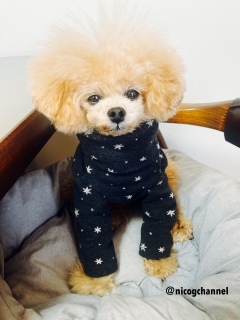 ��D���Ȃ��������