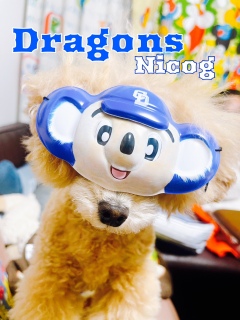 �h�A���~�j����