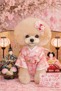 ����̓j�R�W�炵����ˁH