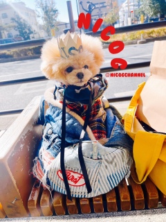 �����}�}�̃J�t�F�o�b�N����[