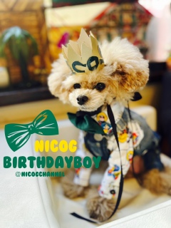 birthday boy NICOG