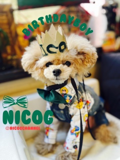 ���ɂ�����̂�������R�[�f