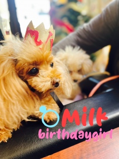 birthdaygirlMILK