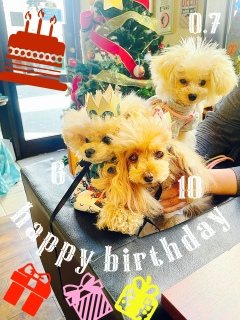 �݁[�����j�R�W�܂��ɂ��