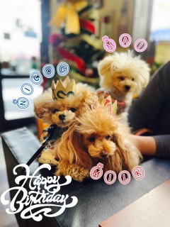 �R�����ŎB��̊���ĂȂ��̂Œg�����ڂŌ��ĂˁI