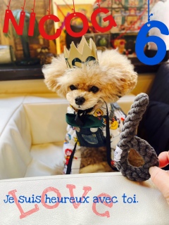 ���߂ẴJ�t�F�����炩�H���ƂȂ����ł��c