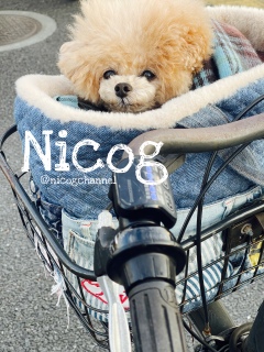 �A���SC�ł��U�����Ă���A��