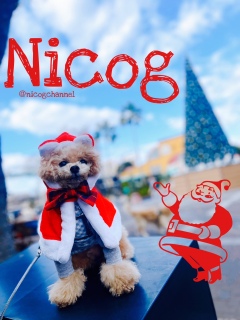 12���̘b�ł��B