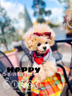 ���a�����j�R�W�����go