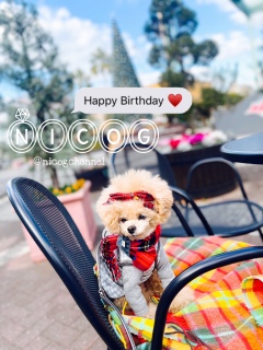 �v���Ă��ȏ�̉����̃o���b�^