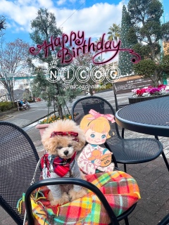 ���a�����E�b�h�{�[�h