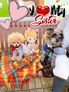 ��������Ƃ����}�}