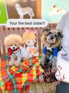 �Ԃ�ȓ��̎�������