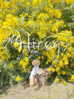 �~���U�����łɁc