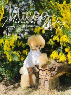 ���������Ȃ�